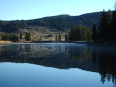 Reflections on the Oxbow